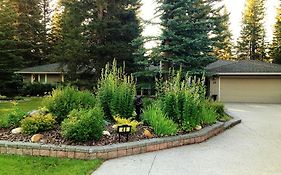 Redwood Retreat